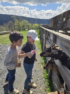 Séjour en Auvergne2